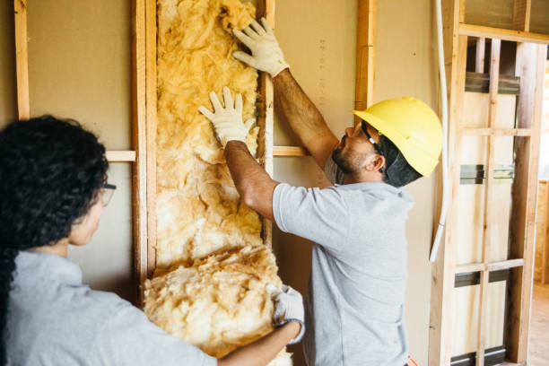 Best Commercial Insulation Services  in Williams, AZ